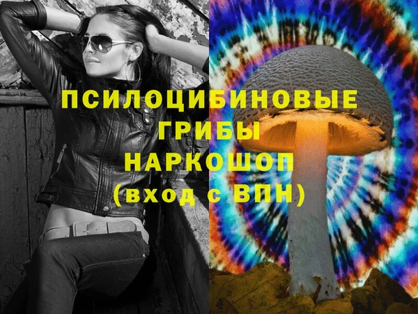 2c-b Горно-Алтайск
