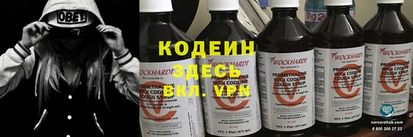 2c-b Горно-Алтайск